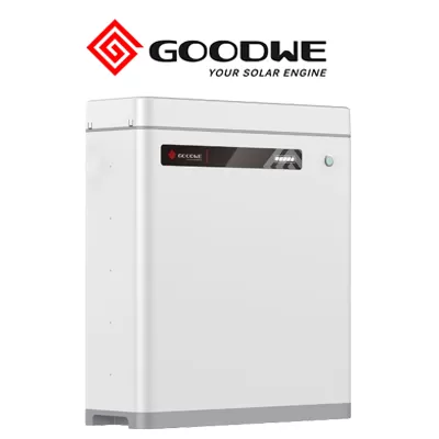 Comprar Batería de litio Goodwe LV 48V, 100A y 5.4kWh - Damia Solar