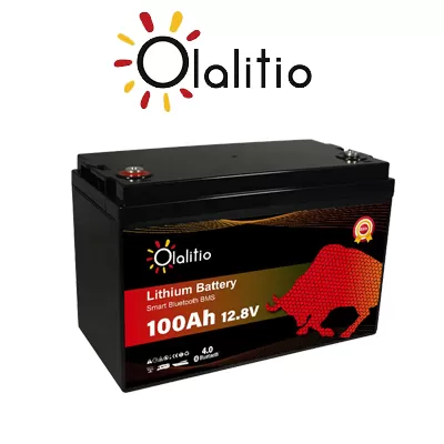 Comprar Bateria de lítio Olalitio LiFePO4 Smart BMS 12.8V 100Ah