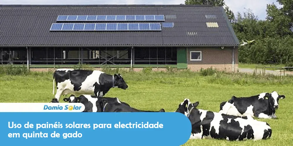 Uso de painéis solares para electricidade em quinta de gado